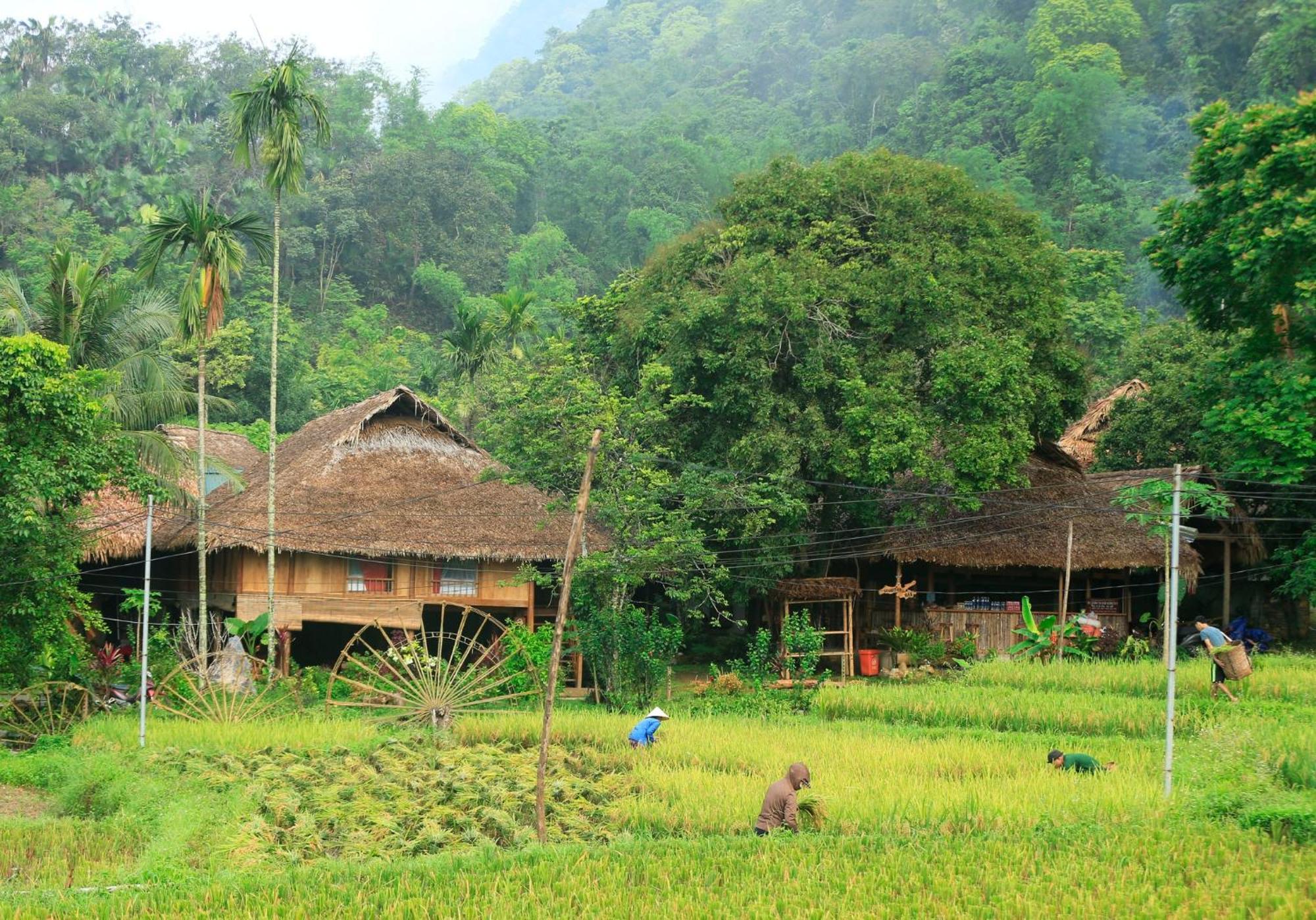 Thai House Pu Luong - Century Old Stilt House With Terrace Views Huong Ba Thuoc Exterior foto